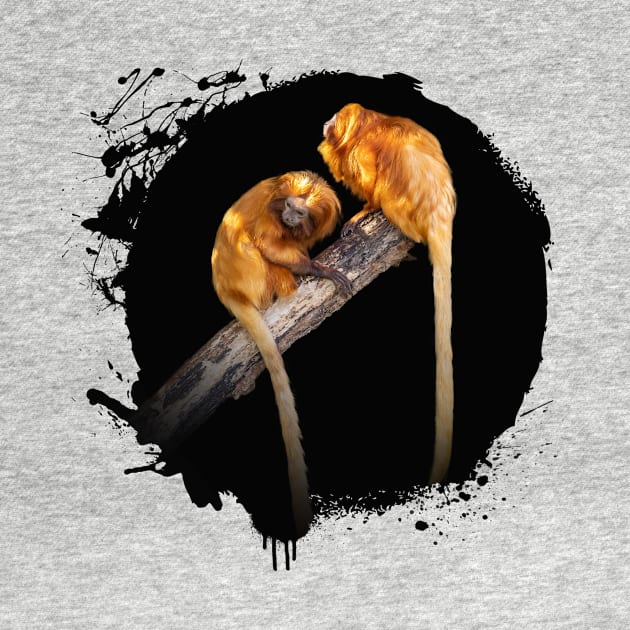 Tamarin Golden Lion Monkey Animal Wildlife Jungle Nature Free Adventure Discovery by Cubebox